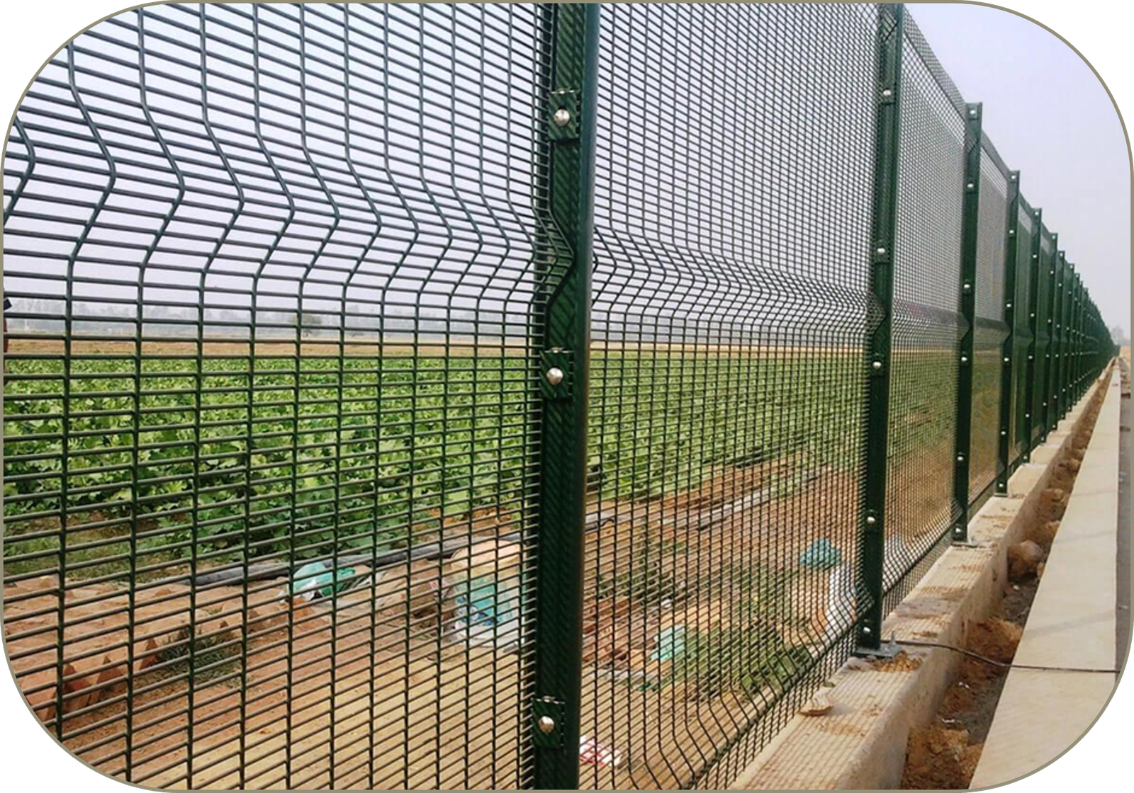 Architectural Wire Mesh Netting suppliers